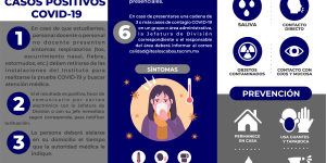 PROCEDIMIENTO  A SEGUIR ANTE CASOS POSITIVOS  COVID-19