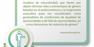 Iniciativas para reformar disposiciones en leyes, acuerdos, protocolos y artículos en materia de nuevas masculinidades